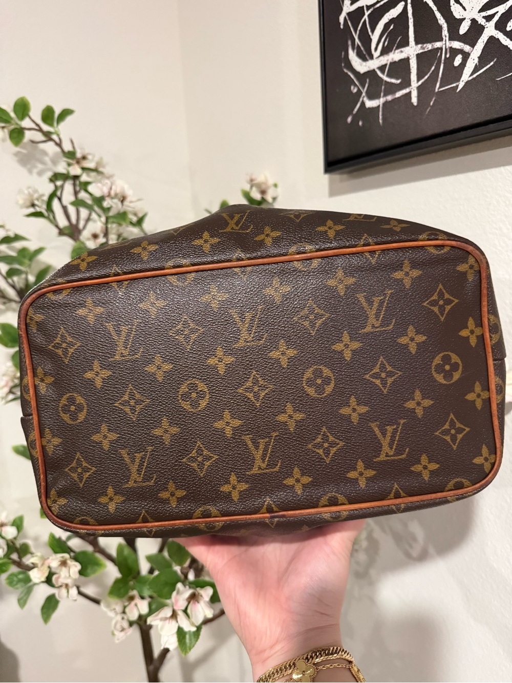 LV Palermo Pm - Picture 8 of 13